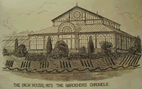 Palm House 1871