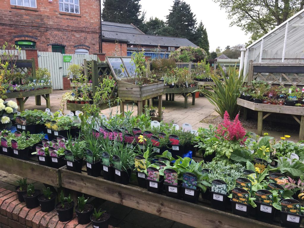 plants for sale - garden shop - birmingham botanical gardens