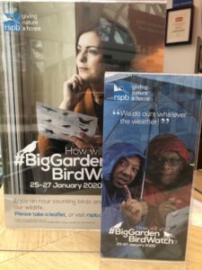 Take part in the RSPB Big Garden Bird Watch 2020 at Birmingham Botanical Gardens