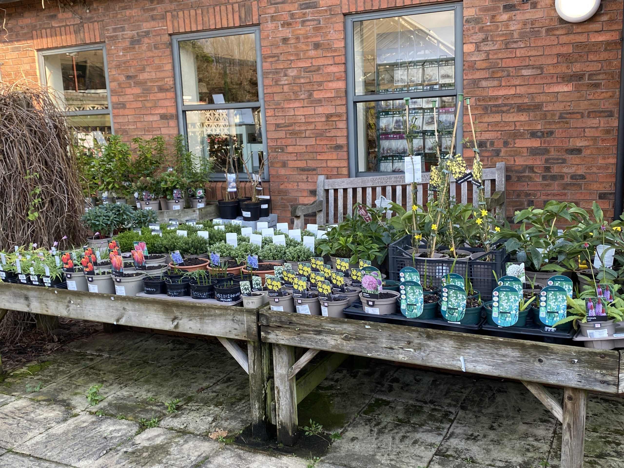 Plants for Sale at the Gardens