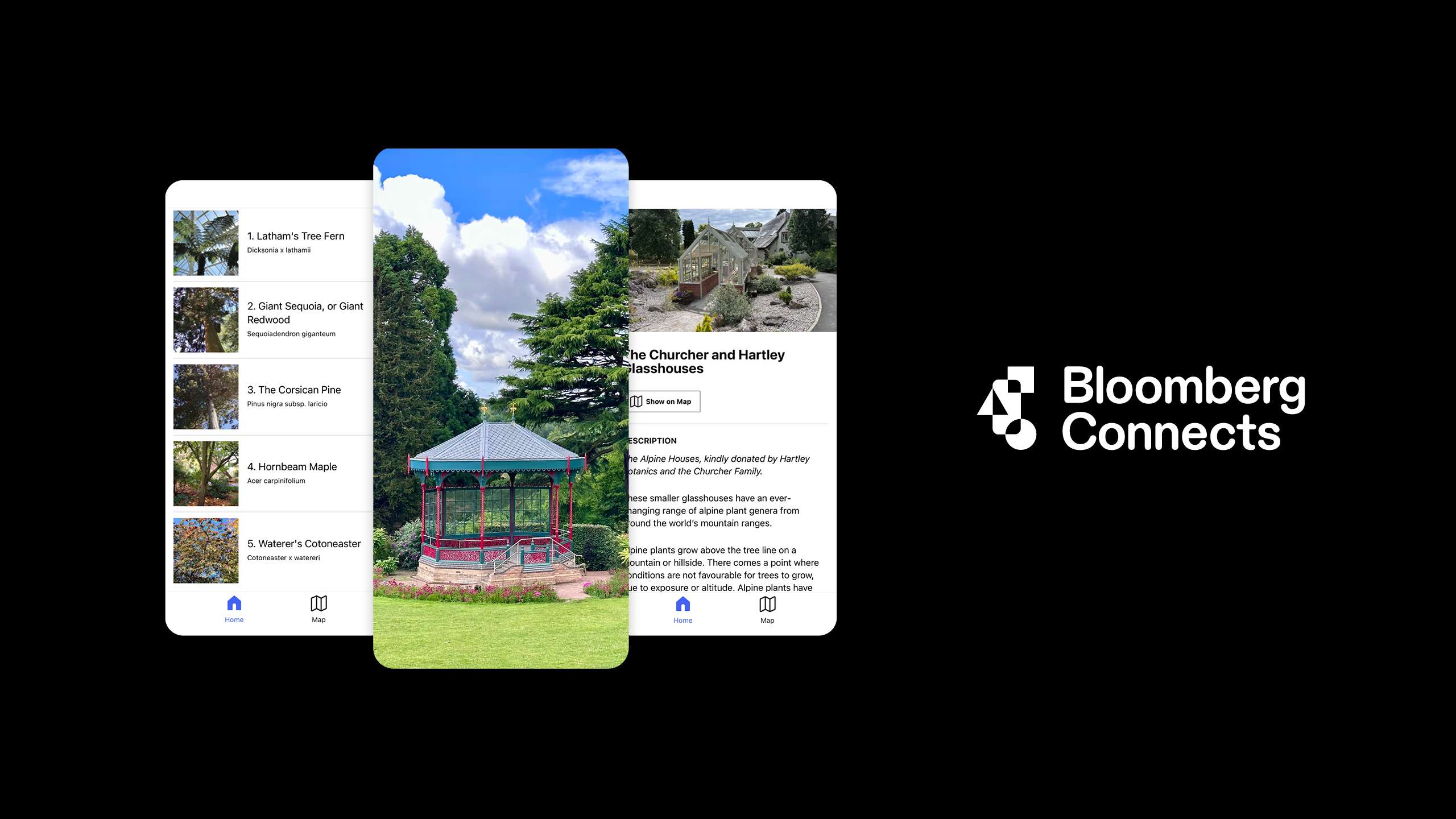 A set of images showing the digital guide as displayed on a phone. The logo for Bloomsberg Connects